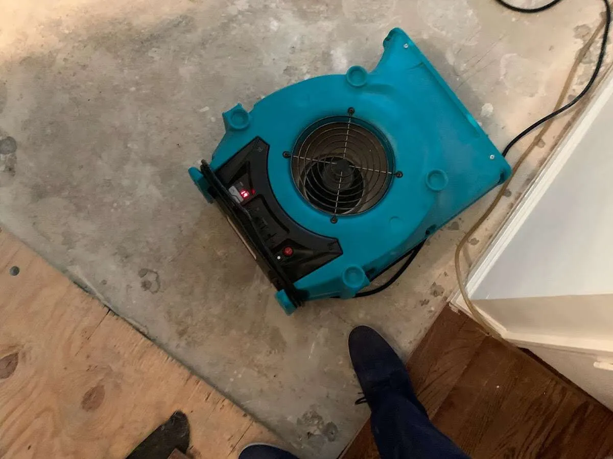 Air mover drying subfloor during Commercial Water Damage Restoration in Winter Haven